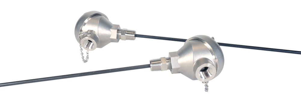 Two Teflon®-Coated RTD's with Temperature Transmitters