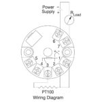 RTD's with Transmitter & Connection Head